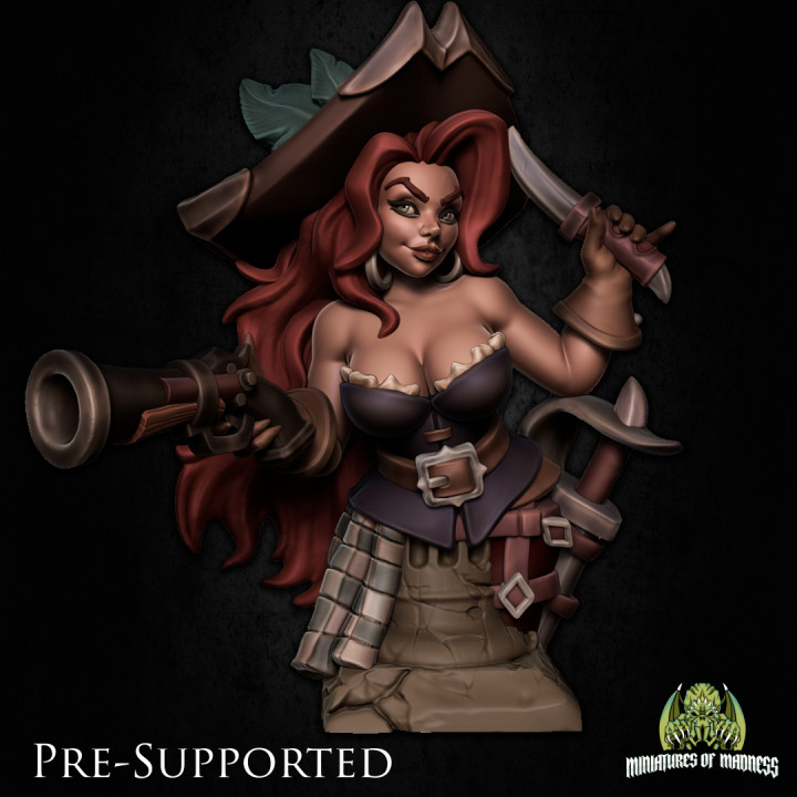 Grace - the pirate assassin  who's bust is showing a lot of bust.